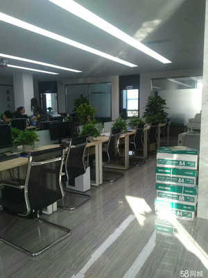 成都鲁卡斯财务咨询 专业助力企业财务稳健发展